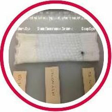 Nylene BS600-CSDN Stain Resistant Cationic Dyeable Nylon stain test - a knitted sock made with medium, cationic, and deep dye nylon polymer